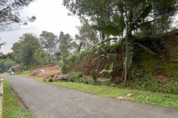 Jual Murah Tanah Kebun Pinggir Jalan 851 m2 Di Bojong Purwakarta