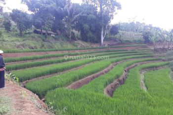 Tanah Jual Cepat, Dapet Kandang Ayam Lokasi Soreang
