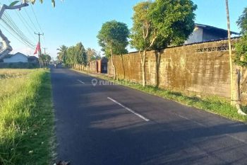 Tanah Bonus Bangunan Cocok Untuk Usaha di Abiansemal, Mambal Badung