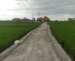 thumbnail-disewakan-tanah-16-are-seseh-munggu-dekat-pantai-mengening-4