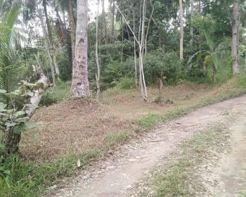 Dijual Tanah Area Ramai Cocok Dibangun Penginapan di Pangandaran