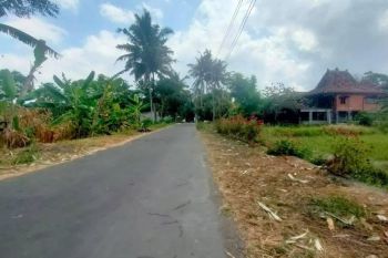 Tanah Luas Harga Murah Strategis Di Sekitar Jalan Kaliurang Km 12