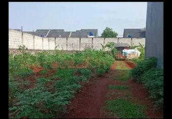 di jual , tanah kosong , di Pamulang .
