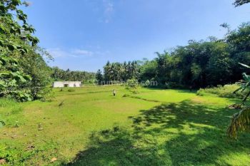 Dekat Tol Sentolo, Jual Tanah Kawasan Wisata Kuliner Jogja Barat