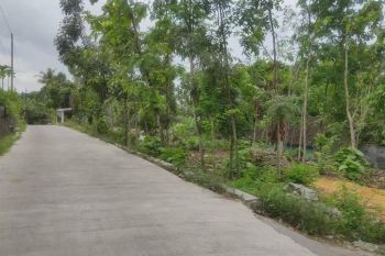 Tanah Murah di Ambarketawang Jogja untuk Hunian