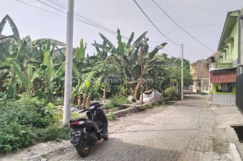 Tanah strategis ring1 tembalang, dekat kampus undip