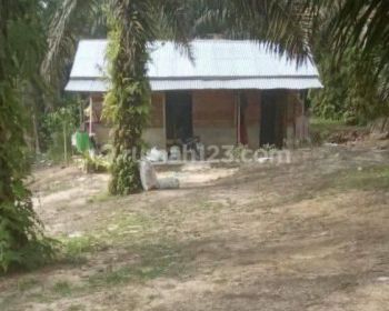 DI JUAL KEBUN SAWIT SEKITARAN KAMPAR DEKAT JEMBATAN  DANAU BINGKUANG