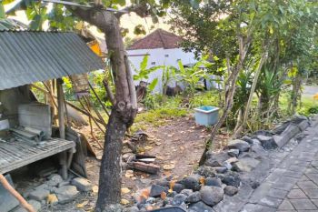 Jual BUC Tanah 150 m2 di Dalung Permai