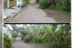 thumbnail-di-jual-tanah-pekarangan-250-colomadu-1