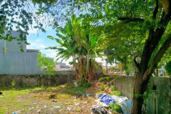 Tanah Strategis di Menteng Sewa Untuk Pengembangan Bisnis Anda