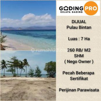 Dijual Lahan Tanah 7 Ha di Pulau Bintan, Riau