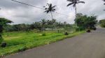 thumbnail-dijual-tanah-di-pupuan-view-sawah-pedesaan-alami-6