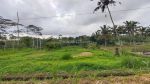 thumbnail-dijual-tanah-di-pupuan-view-sawah-pedesaan-alami-0