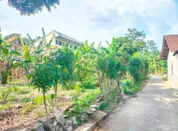 Tanah Murah Mlati Sleman