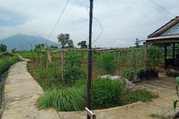 Dijual Tanah Ex.Perkebunan