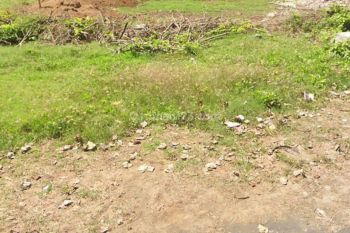 TANAH LOS PANTAI PURNAMA DEKAT BASECAMP BALI UNITED BALI