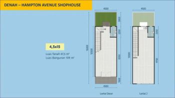 Hampton Avenue bisa buat bisnis apa saja dan ada mall terbaru