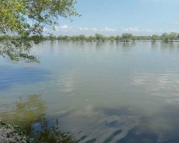 DIJUAL CEPAT B.U TAMBAK BANDENG AREA GRESIK JATIM NEGO SAMPAI DEAL