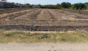 Tanah Industri Siap Bangun Dalam Kawasan Ngoro Industrial Park