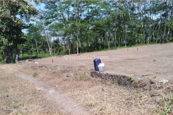 Dekat Exit Tol Sleman Jogja Jual Tanah Termurah SHM Per unit