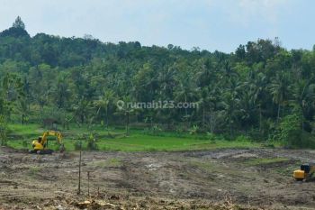 100 Jt, Area Wisata Kulonprogo Jogja Cocok Villa