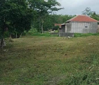DI JUAL TANAH DI KOTA SEMARANG GANG PETE SEKARAN UNNES GUNUNGPATI COCOK BUAT