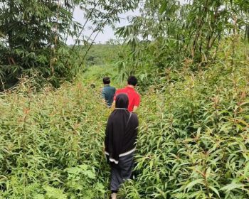 LUAS 1 HEKTAR TANAH MURAH ADA MATA AIR DESA KUMPAY SUBANG