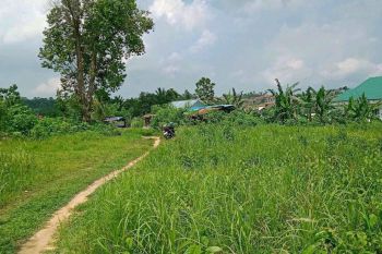 Jual Tanah Murah Di Kendari