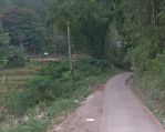 thumbnail-tanah-1900ma2-di-cimenyan-dekat-kampong-bamboo-bandung-1