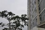 thumbnail-menteng-park-apartemencikinimentengjak-pus-0-1