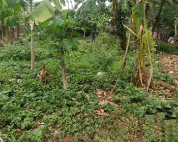 Dijual tanah didesa cijengkol kecamatan Setu kabupaten bekasi