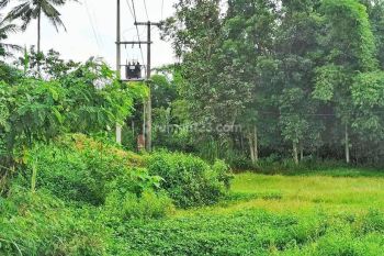 Tanah Luas Di Pinggir Jalan Daerah Antirogo