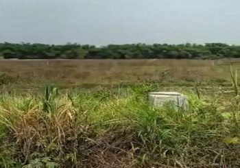 Sell Tanah: Tanah Bypass Krian