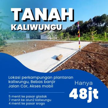 Kaliwungu tanah murah perkampungan