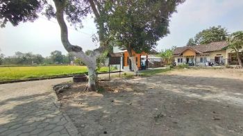 Di Jual Tanah Pekarangan Di Jl. Kabupaten, Sleman, Dekat Rsa Ugm