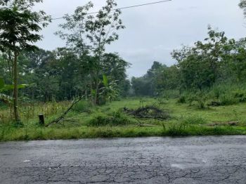 Tanah Zona Industri Hadap Jalan Aspal DPU