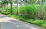 thumbnail-tanah-kebun-pohon-langsep-di-tajinan-malang-4