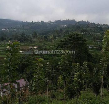 Tanah bali lokasi bedugul cocok resort