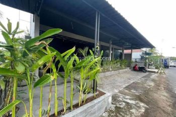 Hot List Di Jual Tanah Bonus Bangunan Lokasi Babakan Canggu Badung