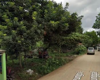 tanah darat menempel jalan utama cocok untuk perumahan