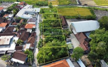 Dijual Tanah Kavling Lokasi Padonan, Canggu