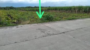 Jual Tanah Nol Jalan Zona Industri Dawarblandong Kab. Mojokerto