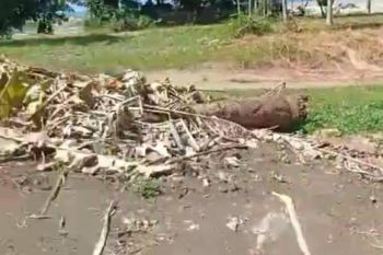 Hot List Di Jual Tanah Beachside Lokasi Batu Belig Banjar Sari Kuta Utara Badung