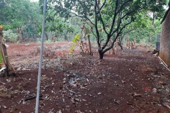 Tanah Ampel Gading, Gunungpati, Kota Semarang