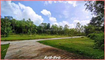 Kapling Istimewa Dekat Alun Alun Wates Legalitas SHM