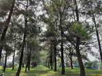 thumbnail-kavling-view-pohon-pinus-telaga-mediterania-citra-raya-tangerang-3