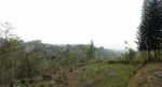 thumbnail-jual-tanah-dago-giri-bonus-villa-cantik-view-exotic-dekat-dreampark-kota-9