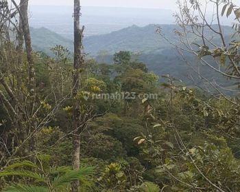 Tanah di Jalan samigaluh ngagrosri kulon progo 13000 SHM m²