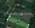 thumbnail-di-jual-cepat-lahan-murah-ubud-dilingkungan-strategis-3