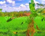 thumbnail-di-jual-cepat-lahan-murah-ubud-dilingkungan-strategis-0